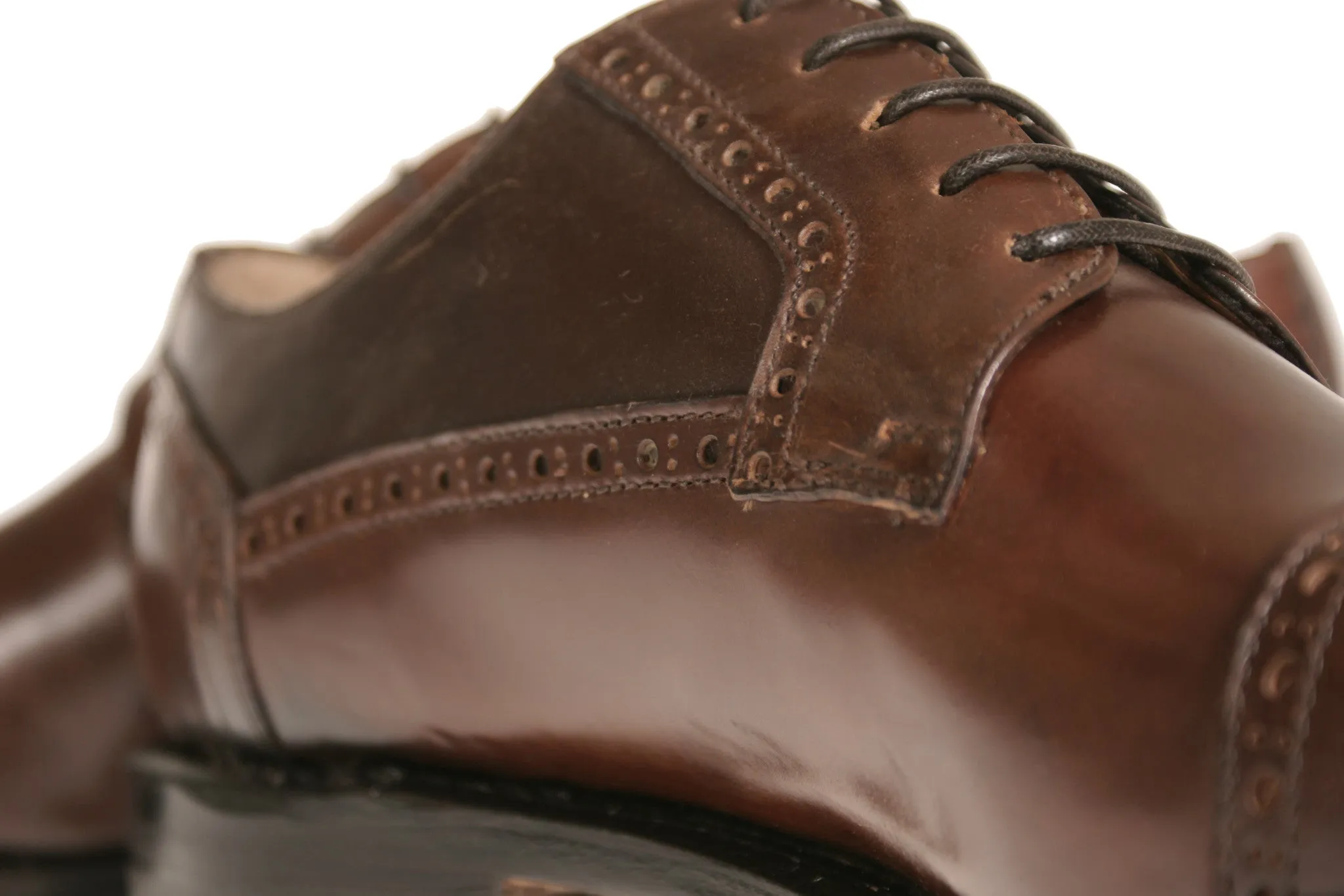 Calabria Shell Cordovan Leather Derby Shoes