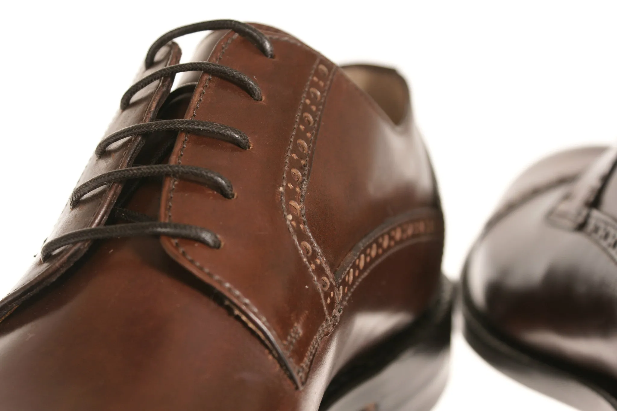 Calabria Shell Cordovan Leather Derby Shoes