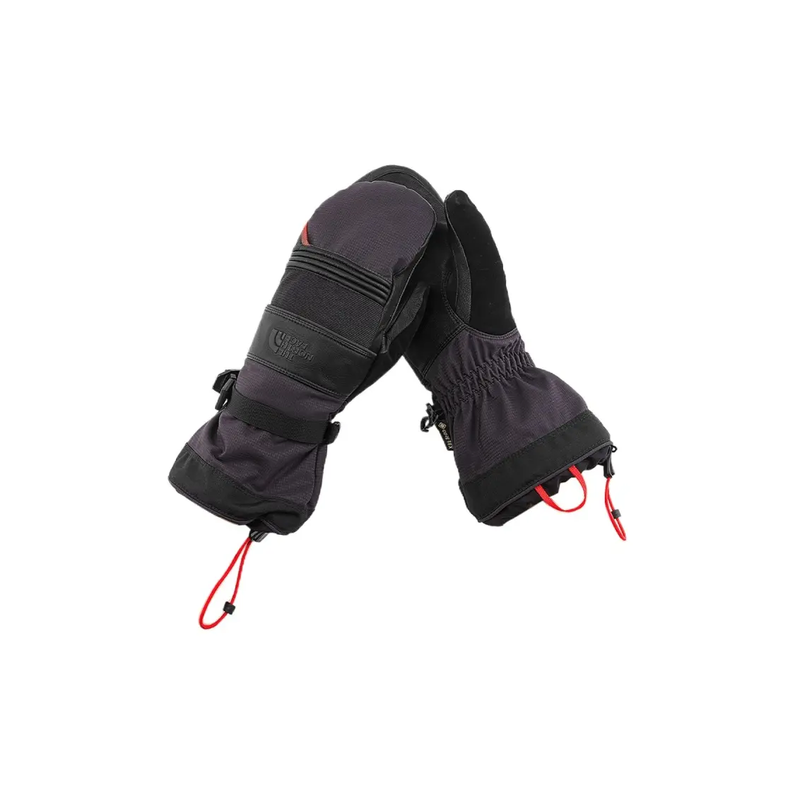 The North Face Gloves