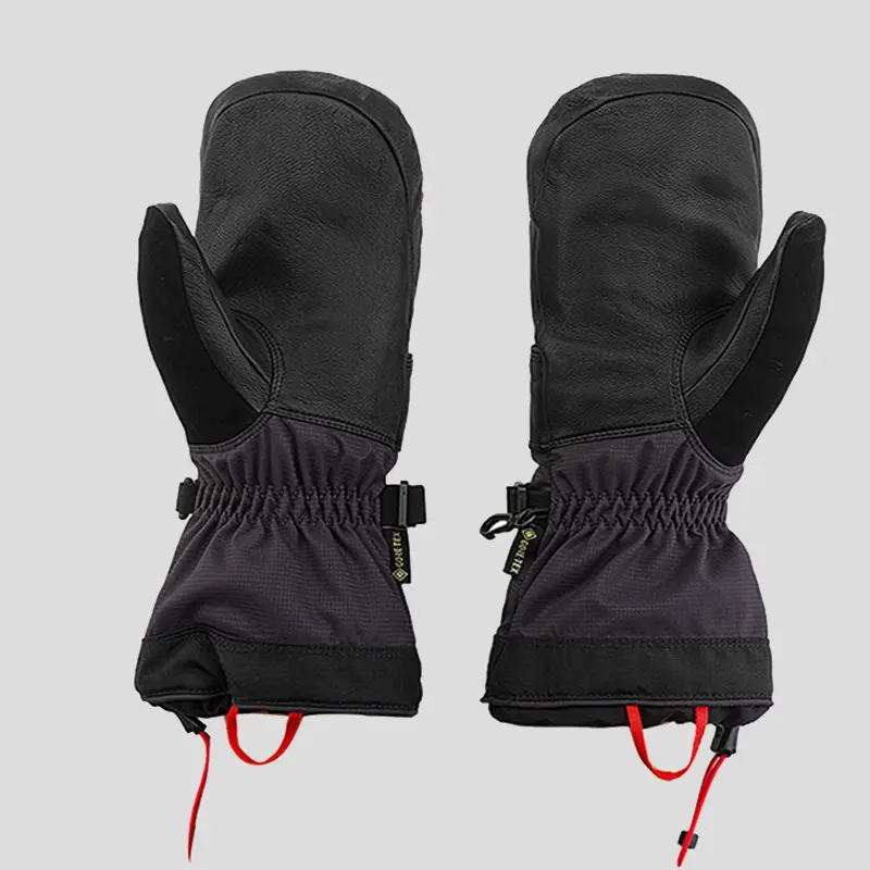 The North Face Gloves